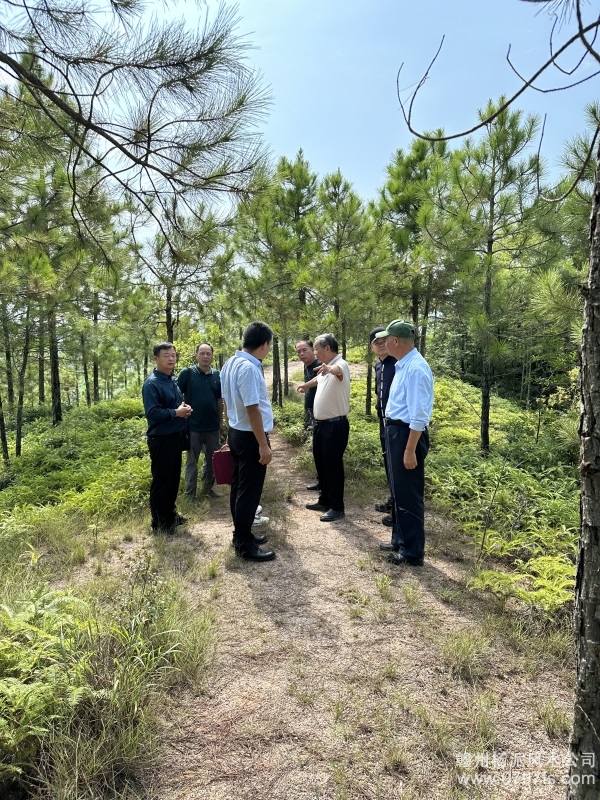 开封市学杨公风水跟陈荣昌老师实在